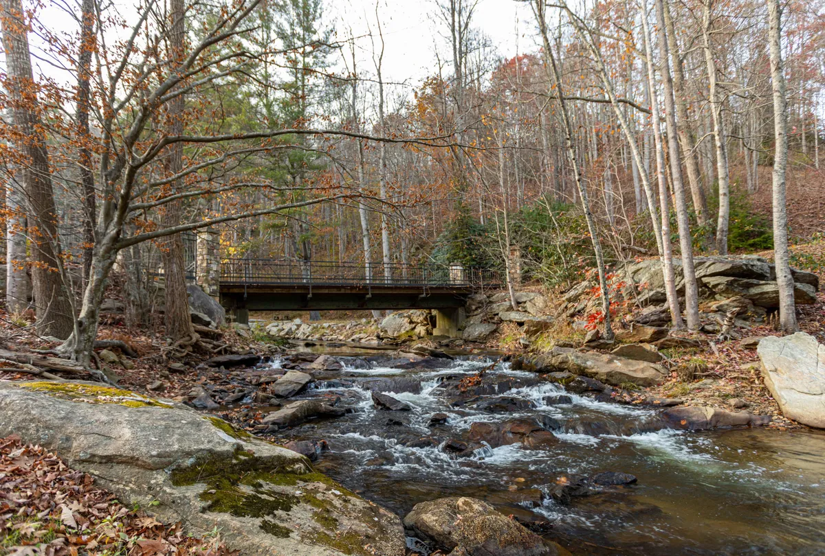 A peaceful creek runs through the scene, with a sturdy wooden bridge crossing over and trees flanking both banks. The natural setting is ideal for picnics, dog walks, and nature observation, highlighting the privacy and appeal of the creekside location.