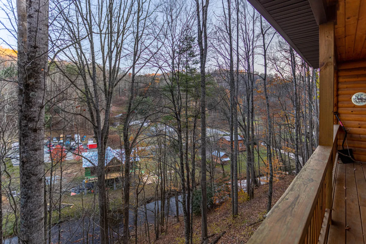 This view image captures tall tree trunks, a flowing river, and cabins nestled among the woods. The scene suggests tranquility and easy access to nature trails, birdwatching, and time spent by the water.